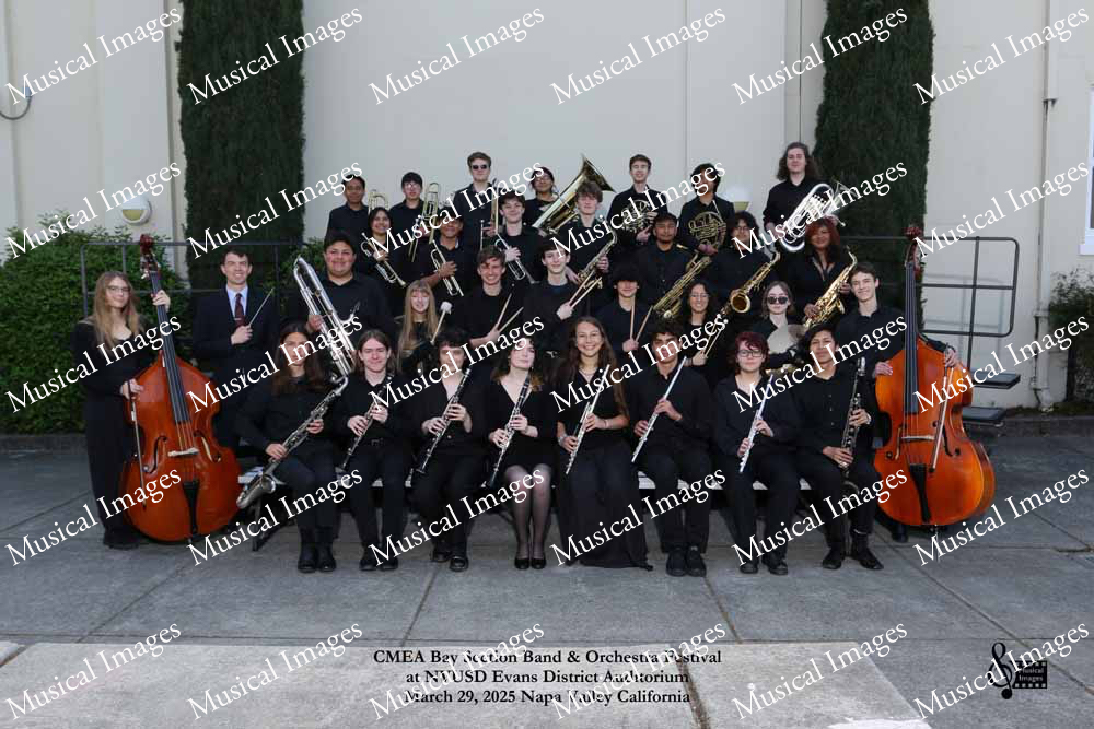 Musical Images